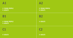 b1 goethe institut test