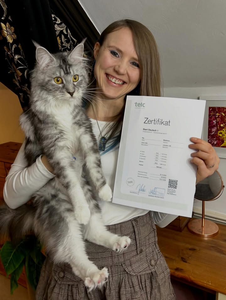Kauf des TELC A1-Zertifikats in Österreich